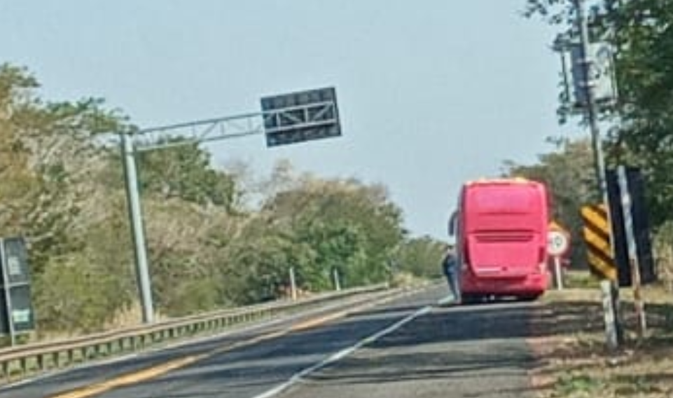 Buser quebra de madrugada e socorro chega oito horas depois